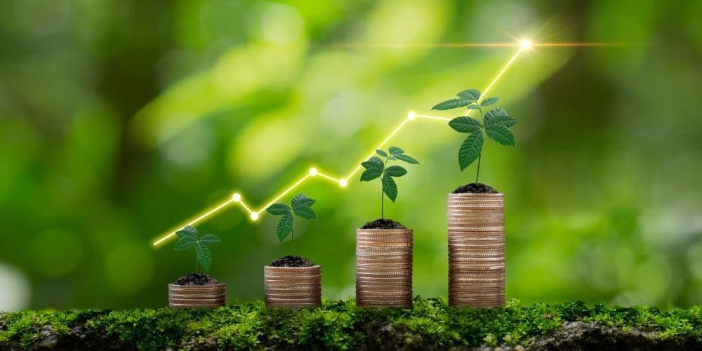 Finance & Insurance Services in San Jose