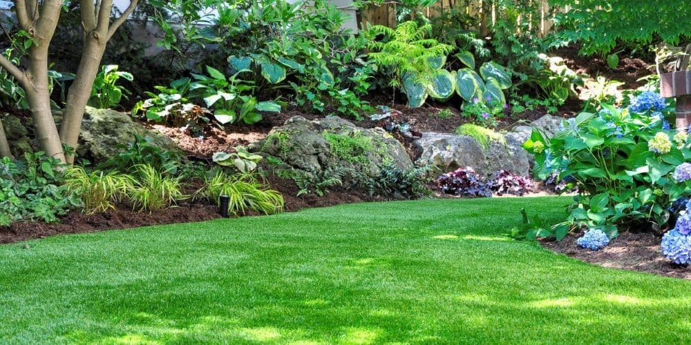 Landscape Contractors in San Jose